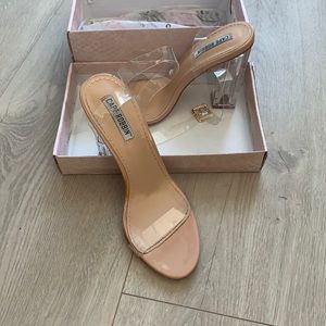 Cape Robin Venus Lucite heels